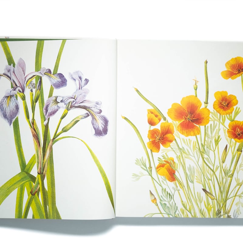 Wild Flowers of North America | Art Book Iskusstvo