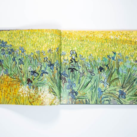 Kiefer–Van Gogh