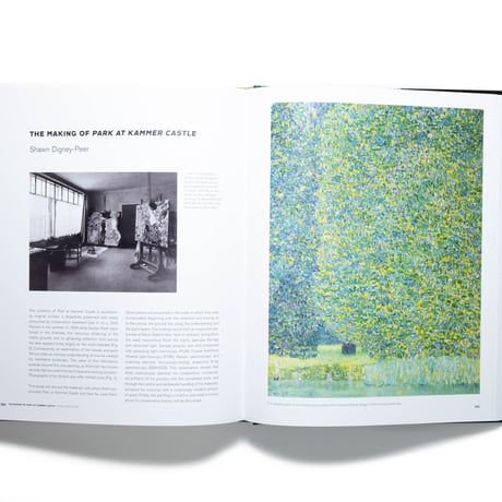 Klimt Landscapes
