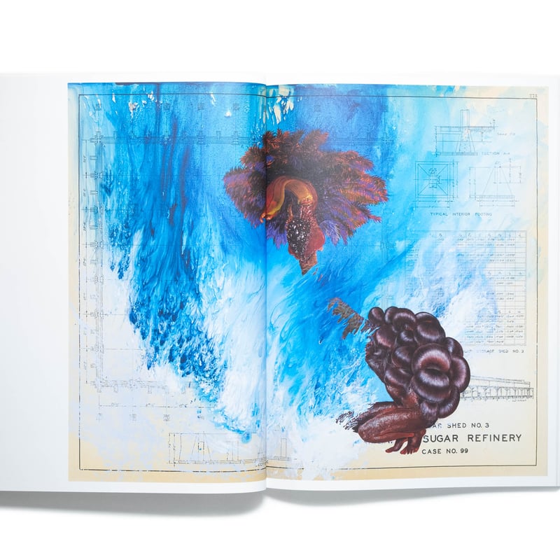 Firelei Báez: Trust Memory over History | Art B