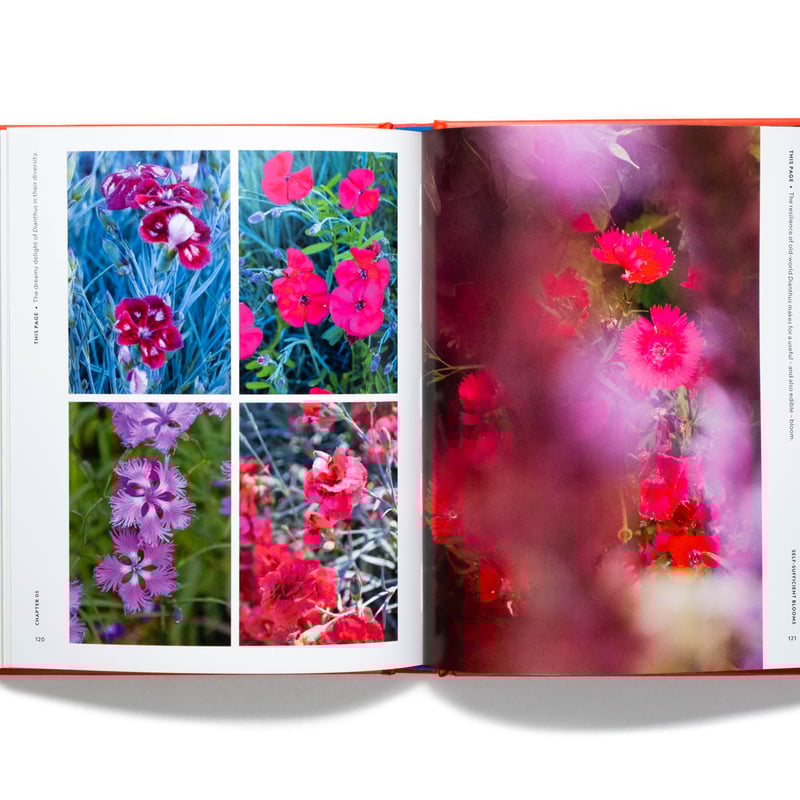 The Super Bloom Handbook | Art Book Iskusstvo