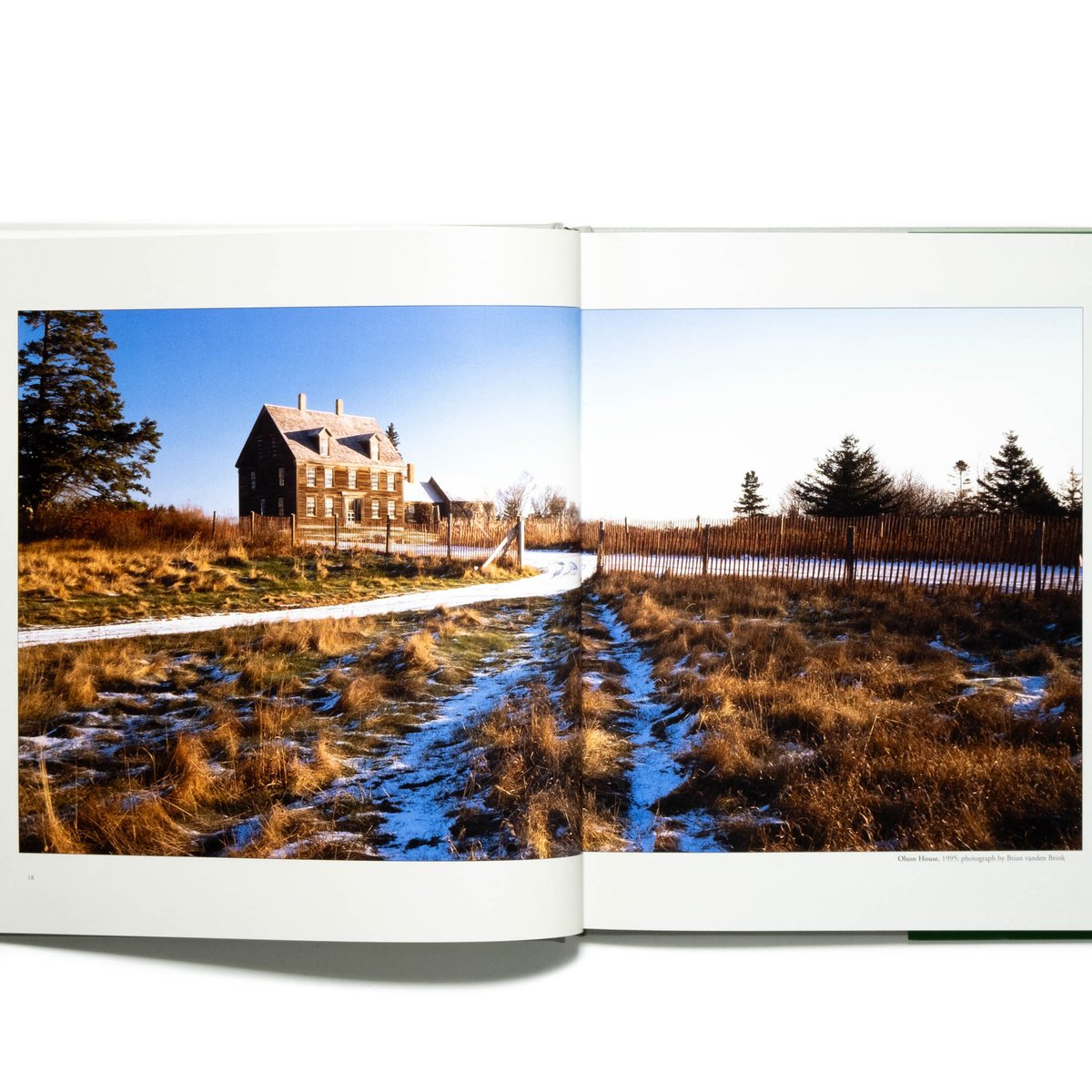 Andrew Wyeth: Christina's World, and the Olson