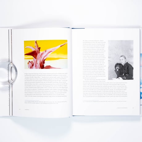 Georgia O'Keeffe: The Late Work