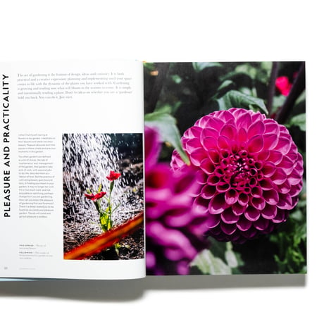 Super Bloom: A Field Guide to Flowers for Every Gardener