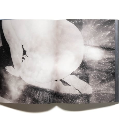 Julie van der Vaart: Blind Spot