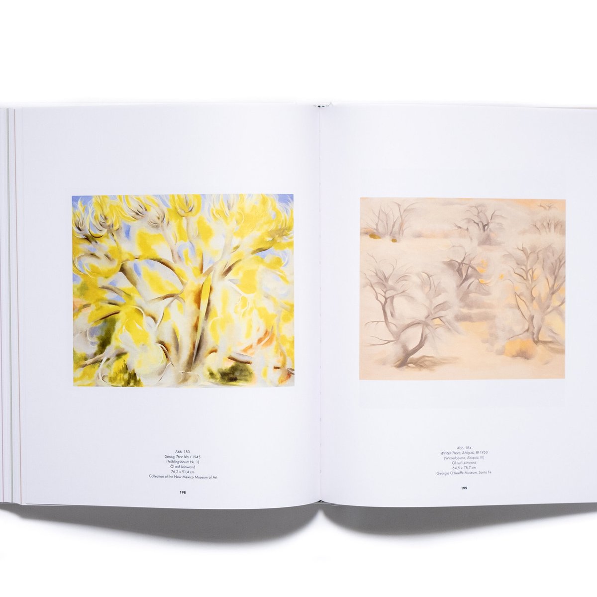Georgia O'Keeffe | Art Book Iskusstvo