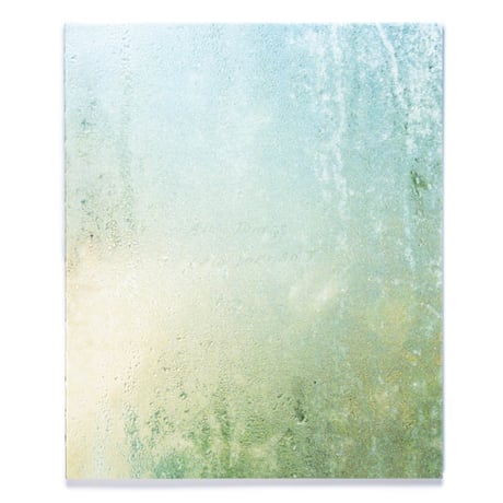 Benedetta Casagrande - All Things Laid Dormant