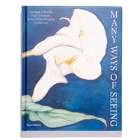Many Ways of Seeing