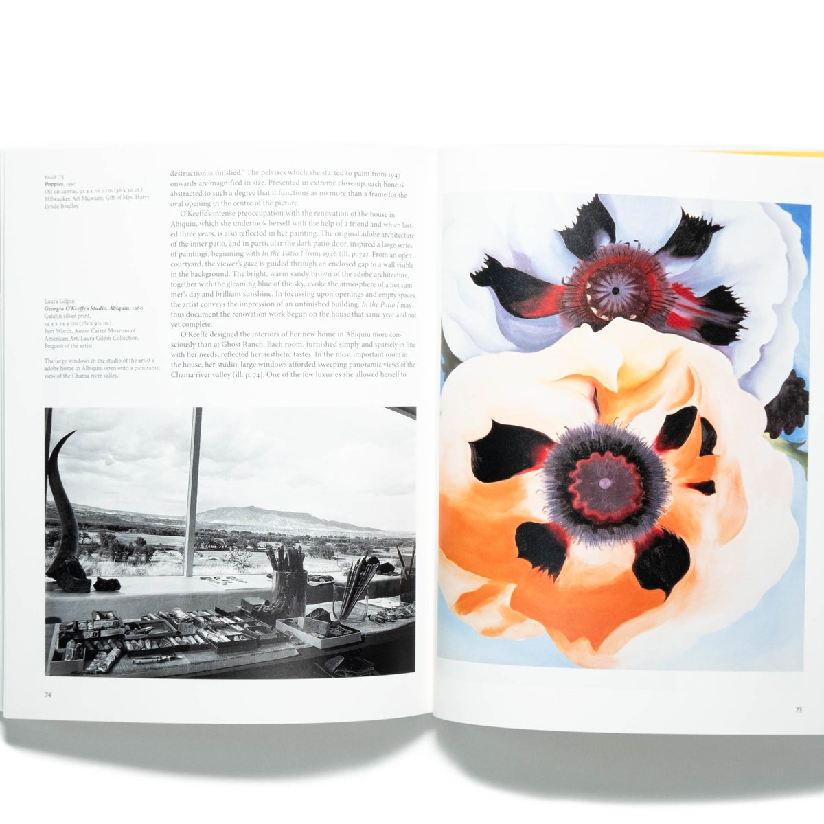 O'Keeffe | Art Book Iskusstvo