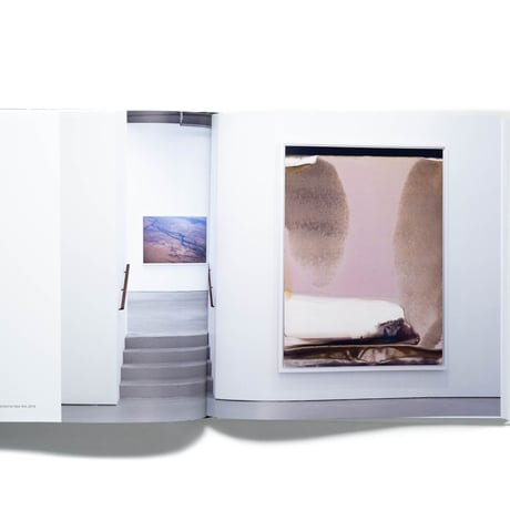 Wolfgang Tillmans. Saturated Light