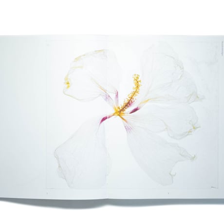 Brigitte Lustenberger: An Apparition of Memory