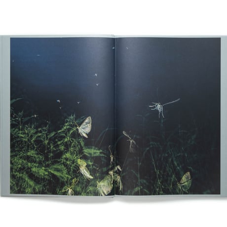 Rogier Maaskant – Sense of Presence