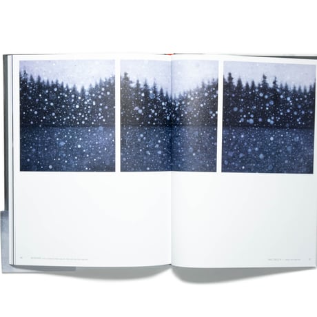 Miwa Ogasawara: Unspoken