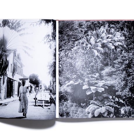 Gauguin and Laval: in Martinique