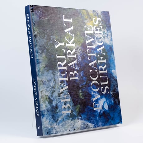 Beverly Barkat: Evocative Surfaces
