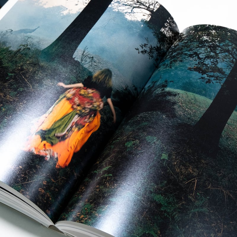 洋書 Olivier Theyskens She Walks In Beauty Olivier Theyskens: She Walks in Beauty: Debo, Kaat, Wyngaert