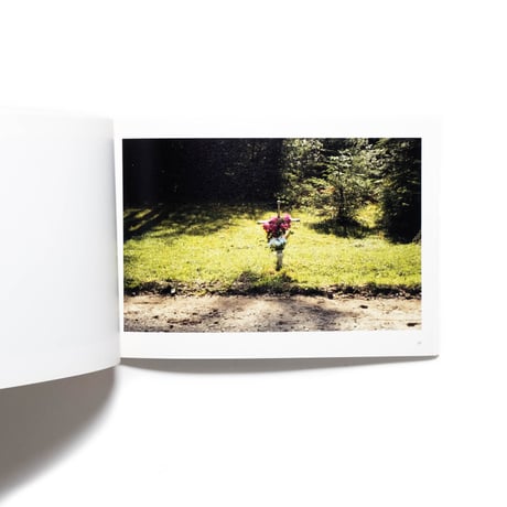 Roman Signer: Karpaten Carpathians
