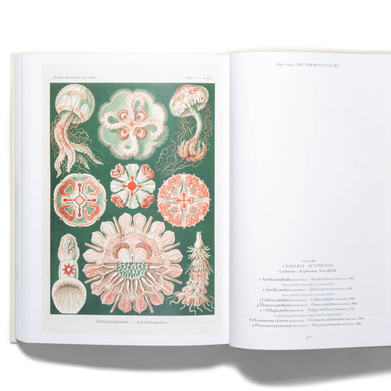 The Art and Science of Ernst Haeckel. 40th Ed.