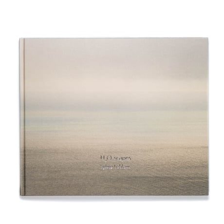 Sylvie Leblanc: H2O-scapes