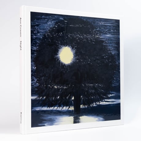 Ann Craven: Night