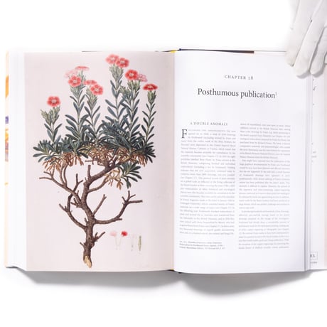 The Bauers Joseph, Franz & Ferdinand : Masters of Botanical Illustration