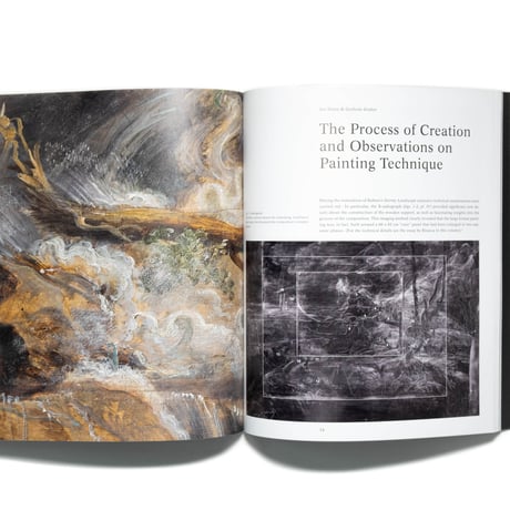 Rubens's Great Landscape with a Tempest