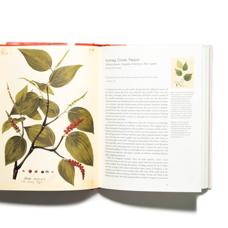 Remarkable Plants
