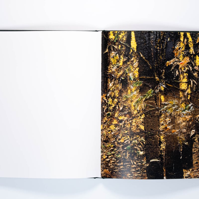 Anselm Kiefer: Mein Rhein | Art Book Iskusstvo