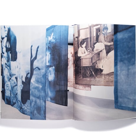 Carrie Mae Weems: A Great Turn in the Possible