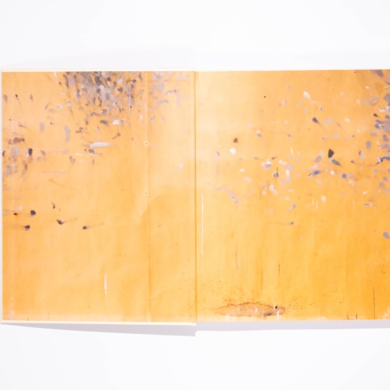 Joel Meyerowitz: Morandi's Objects | Art Book I