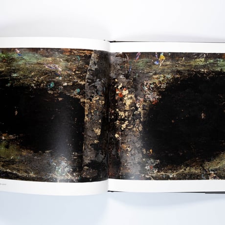Anselm Kiefer: Für Andrea Emo