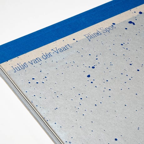 Julie van der Vaart: Blind Spot