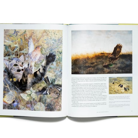 Birds: Ornithology & the Great Bird Artists