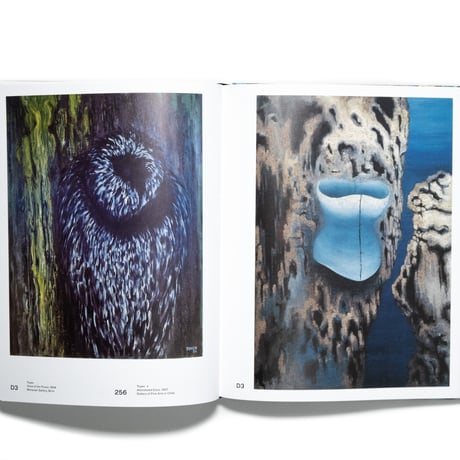 Beyond Klimt: New Horizons in Central Europe