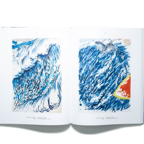 Point Break: Raymond Pettibon, Surfers and Waves