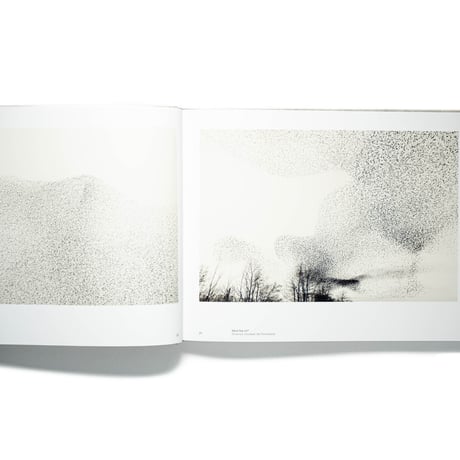 Søren Solkær: Black Sun