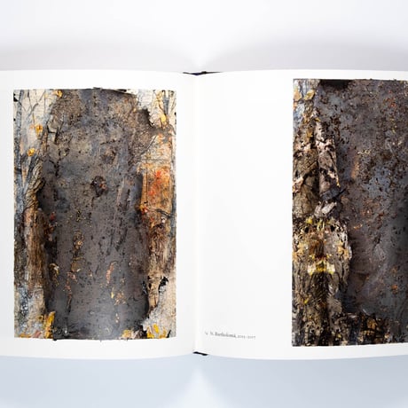 Anselm Kiefer: Für Andrea Emo