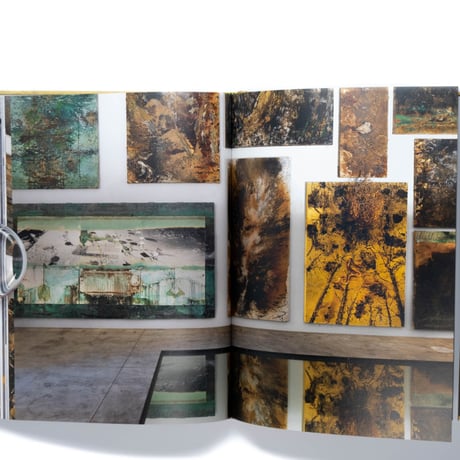 Anselm Kiefer: Fallen Angels