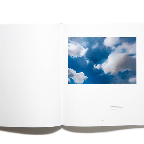 Gerhard Richter : Landscape