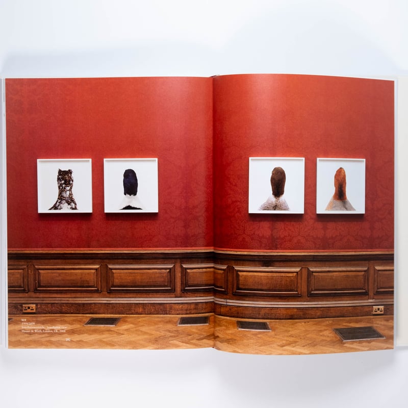 Roni Horn: Give Me Paradox or Give Me Death | A