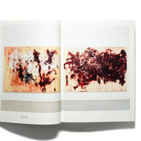 Anish Kapoor: Painting