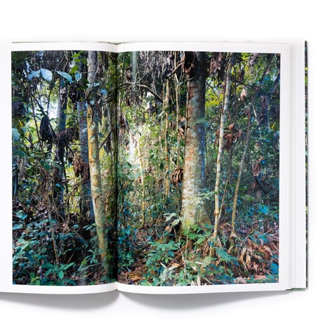 Thomas Struth: New Pictures from Paradise
