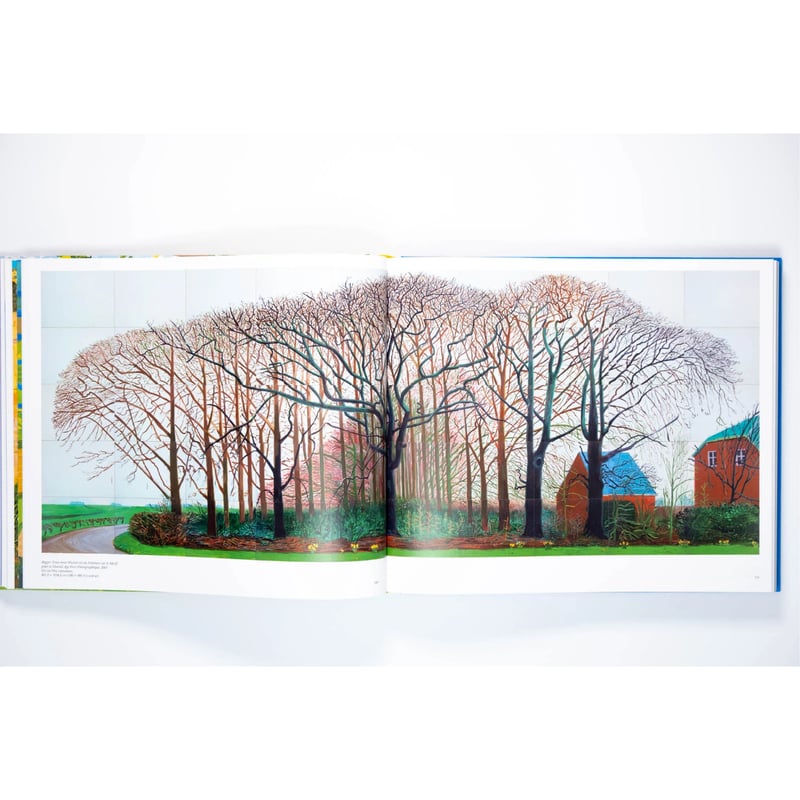 David Hockney デイヴィッド・ホックニー David Hockney | Art Book Iskusstvo