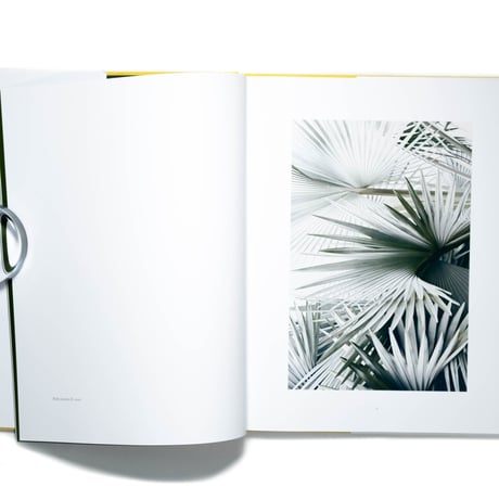 Philipp Keel: Last Summer