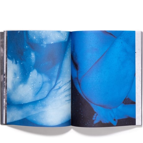 Julie van der Vaart: Blind Spot