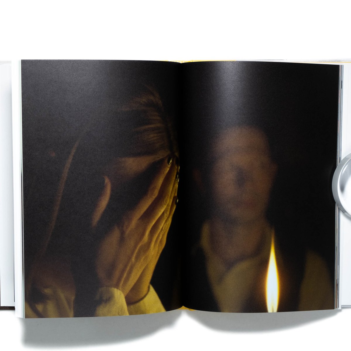 WILHELM SASNAL PHAIDON ヴィルヘルム・サスナル (洋書