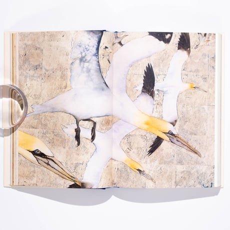 The Book of Birds : A Field Guide to Wonder and Loss