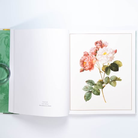 Redouté: Fabulous Flowers
