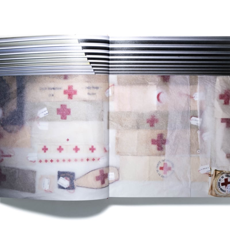 【Henry Leutwyler】DOCUMENT Henry Leutwyler Interview — Document — Suzanne Spiegoski