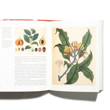 Remarkable Plants